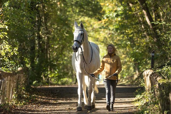 Frau führt ein Pferd an einem Strick einen Waldweg entlang