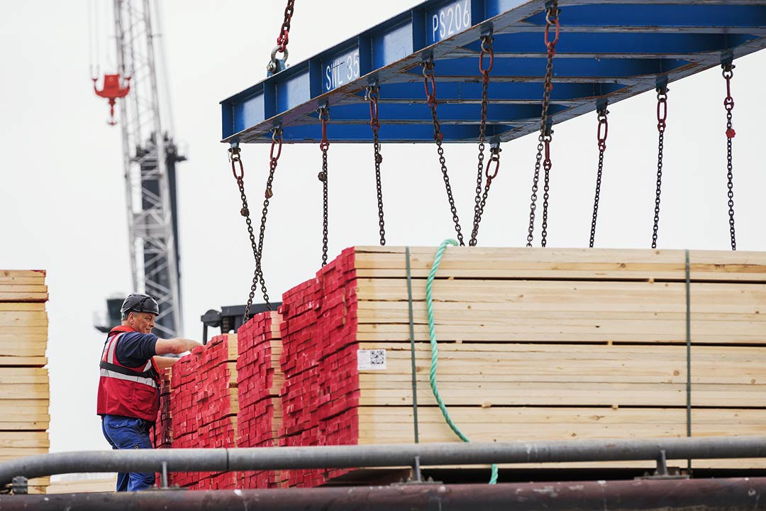 Kran hebt Holz in Schiffsladeraum